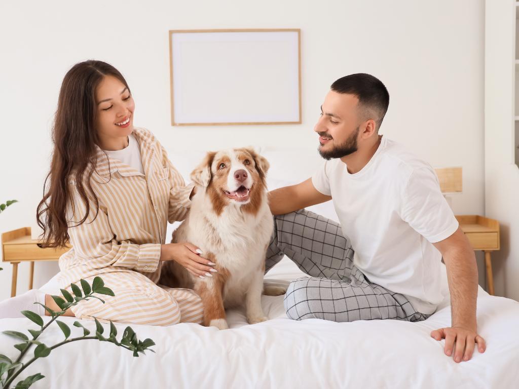 imagem capa da notícia