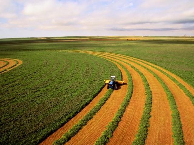 Presidente do IRTDPJ Brasil explica como os cartórios de RTDPJ fortalecem as operações no agronegócio