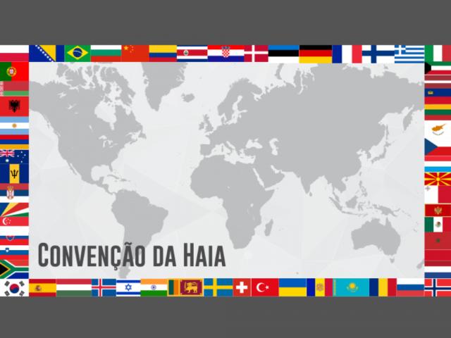 CNJ revoga artigo da Resolução 228/2016, que regulamenta aplicação da Convenção da Haia