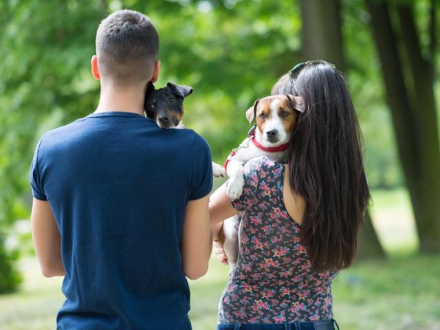 IBDFAM: Direito dos animais no rompimento de união familiar é destaque na Revista Científica do IBDFAM