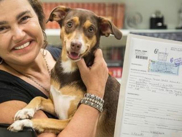 A cadelinha Lola: o primeiro bicho a ser registrado em cartório no Rio